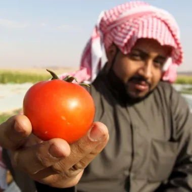 Singapore’s Floating Fish Farms: Battling Challenges to Sustain a Dying Tradition