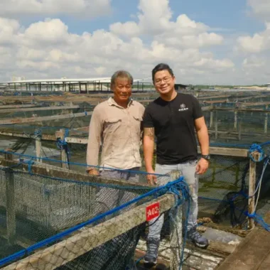 Embracing Rotational Grazing: The UK’s Dairy Revolution