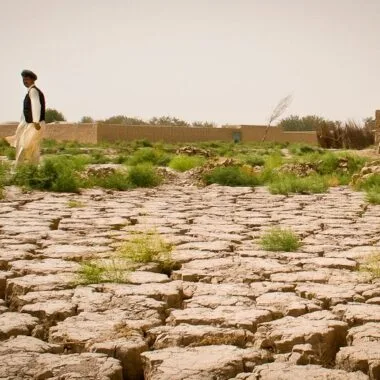 Reviving Desertified Lands with Soil Microbes: A Sustainable Solution