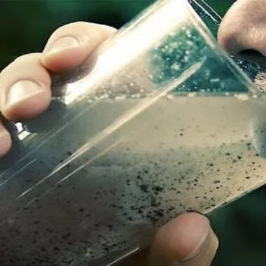 Effective Bioremediation Strategies for Arsenic-Contaminated Sites: Sustainable Solutions