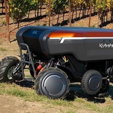 Singapore’s Floating Fish Farms: Battling Challenges to Sustain a Dying Tradition